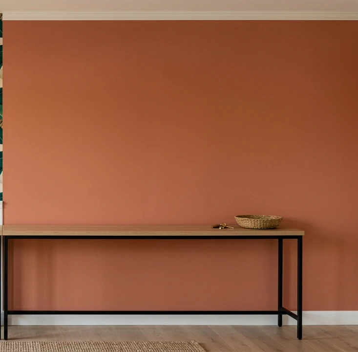 Modern entryway corner with solid warm terra-cotta matte painted accent wall running floor to ceiling with no wainscot, narrow wood-and-iron console table against the wall holding a small woven catch-all bowl with brass keys, pale oak wood floor with a small handwoven entry rug at the bottom of the frame and natural daylight from off-frame, showing the clean warm-color first-impression wall that visually deepens a narrow space when paired with intentional accessories